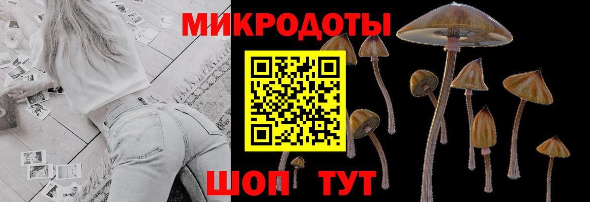 Лесозаводск  Псилоцибиновые грибы Psilocybine cubensis  Вход с VPN 